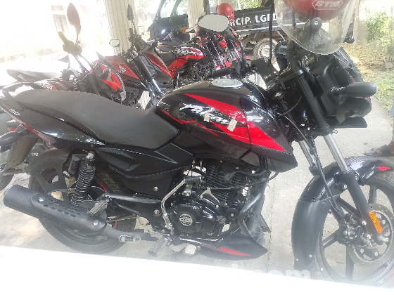 Palsur abs BS6 update version